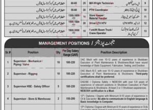 Descon Engineering Limited Pakistan Jobs January 2025