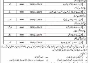 Latest Frontier Core Balochistan Jobs January 2025