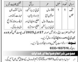 Ministry of Defence Rawalpindi Jobs January 2025