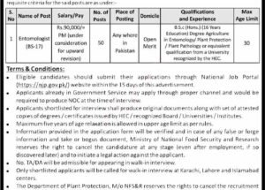 Ministry of National Food Security & Research MNFSR Jobs 19 January 2025