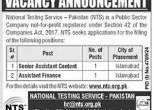 National Testing Service NTS Jobs January 2025