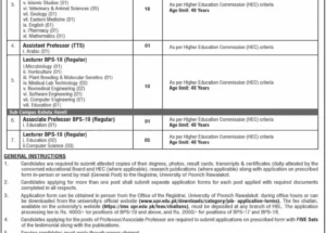 New University of Poonch Rawalakot UPR Jobs January 2025