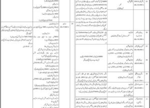 New PPHI Sindh Jobs January 2025 Advertisement