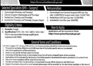 Primary and Secondary Healthcare Department Punjab Jobs January 2025