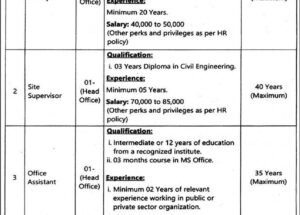 Punjab Cattle Marketing and Development Company PCMMDC Jobs 2025