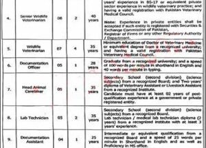 Punjab Wildlife and Parks Department Vacancies 2025