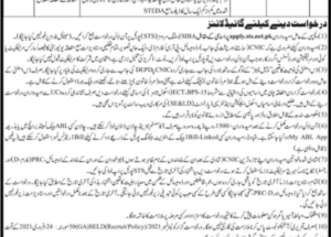 School Education and Literacy Department Sindh Jobs January 2025