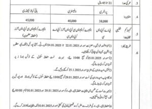 School Teacher Interns STIs Jobs opportunities January 2025