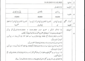 School Teacher Internship 2025 – STI Jobs 2025