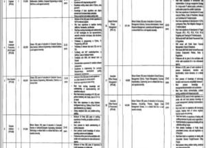 Special Branch Punjab Police Jobs January 2025