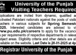 University of Punjab UOP Lahore Jobs Jan 2025