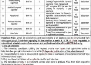 Latest BPPRA Jobs 2025 through BPS Basis