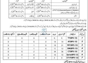 ESED Swat Jobs 2025 for CT, TT, PET, PST