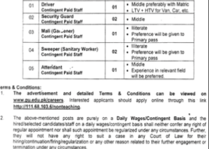 New University of the Punjab UOP Jobs February 2025