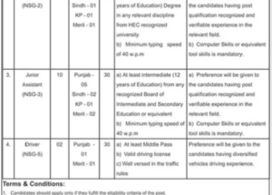 New Ministry Of Energy Power Division Jobs February 2025