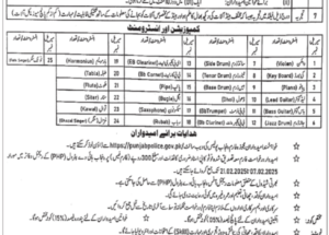 Punjab Highway Patrol Police Jobs February 2025