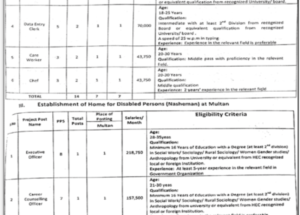 Latest Vacancies in Social Welfare and Bait ul Maal Punjab 2025