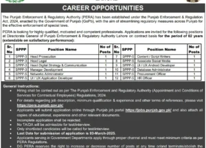 Govt of Punjab PERA Jobs 2025 – Punjab Enforcement & Regulatory Authority
