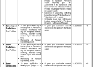 Ministry of Energy Petroleum Division Jobs March 2025