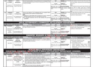 Latest PPSC jobs Ad No. 10/2025 Apply Online