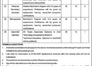 Latest Punjab Saaf Pani Authority PSPA job Vacancies 2025