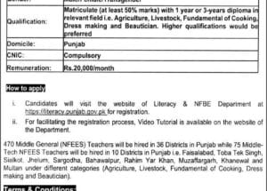 Punjab Literacy & Non-Formal Job Vacancies 2025